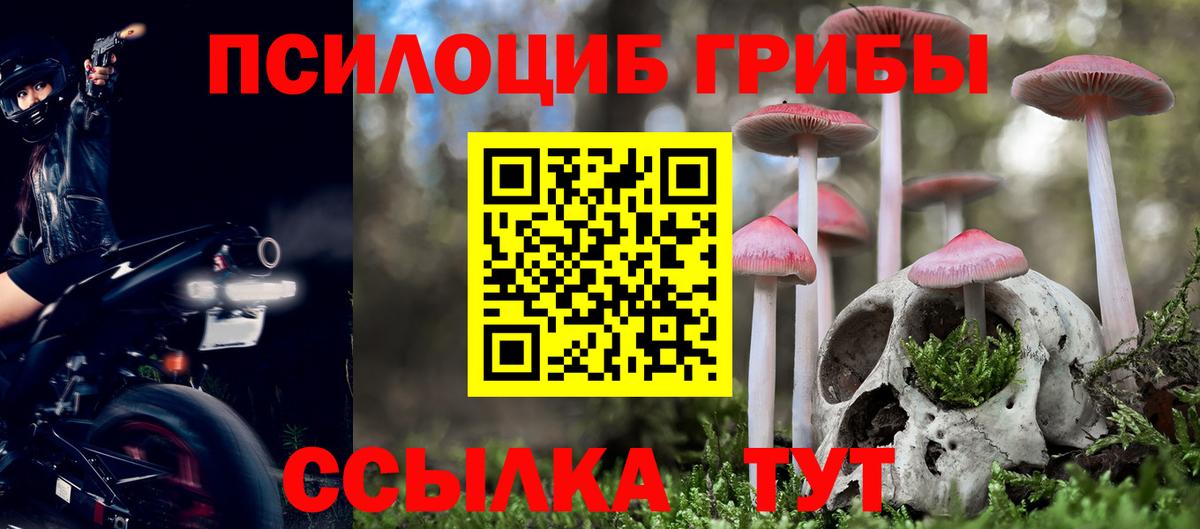 Псилоцибиновые грибы прущие грибы  Вход с VPN  Псилоцибиновые грибы прущие грибы  Костомукша 